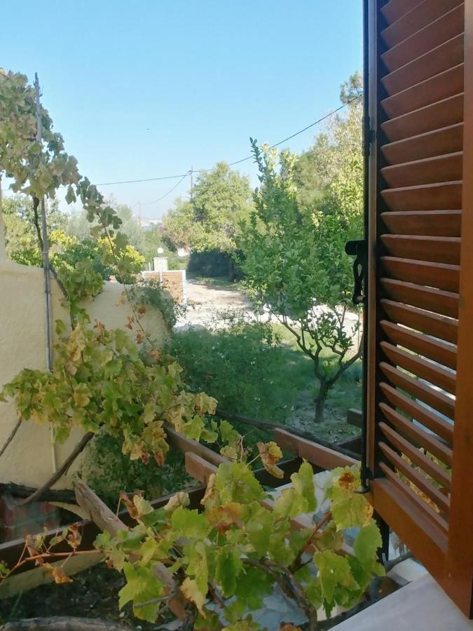 Ζini 2 Villa Кефалос Екстериор снимка