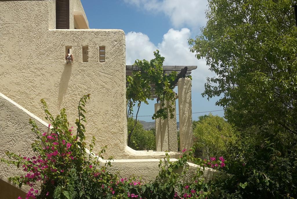 Ζini 2 Villa Кефалос Екстериор снимка